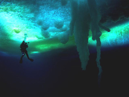 Encounters at the End of the World: Henry Kaiser under the ice at Cape Evans, photographed by Rob Robbins.