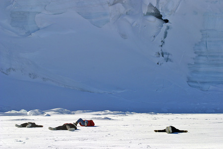 Antarctica: Where man...